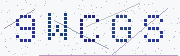 Security captcha